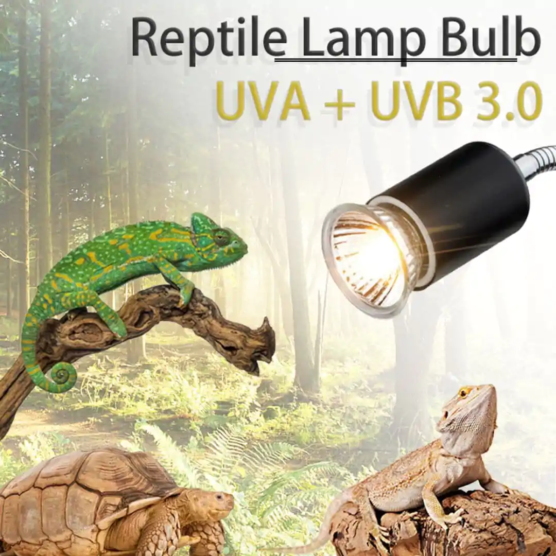 Lâmpada uv para répteis uva + uvb 3.0, lâmpadas de aquecimento e controlador de temperatura para tartaruga, - Image 4