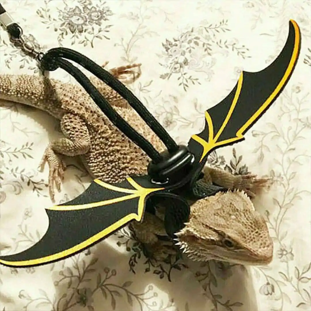 Coleira Asas de dragão para Lagartos com formato de asas de dragão, super criativo e confortável - Image 2
