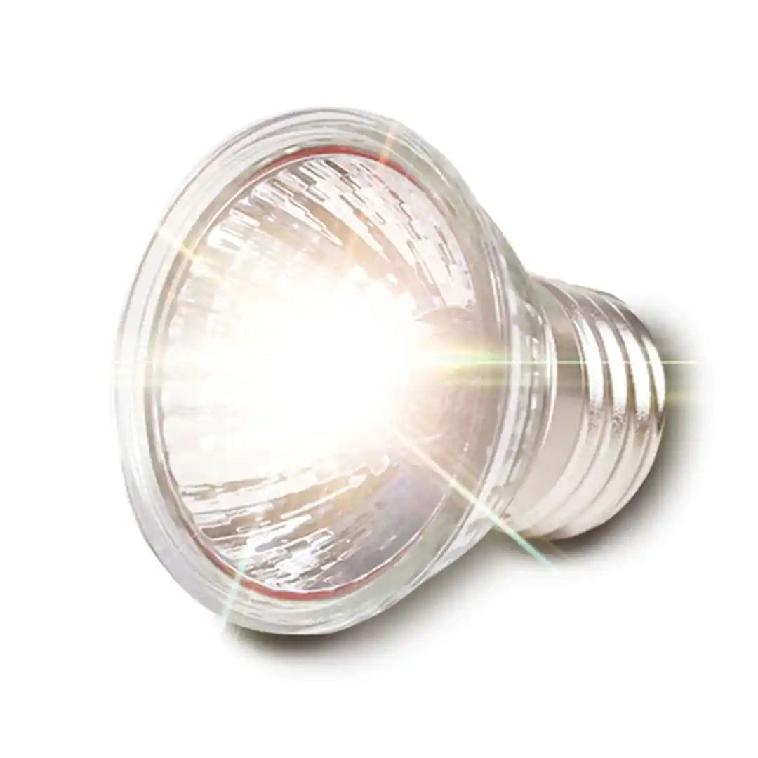 Lâmpada uv para répteis uva + uvb 3.0, lâmpadas de aquecimento e controlador de temperatura para tartaruga, - Image 3