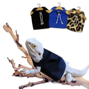 Roupa para Lagarto Roupas práticas para animais de estimação ajuste fivela